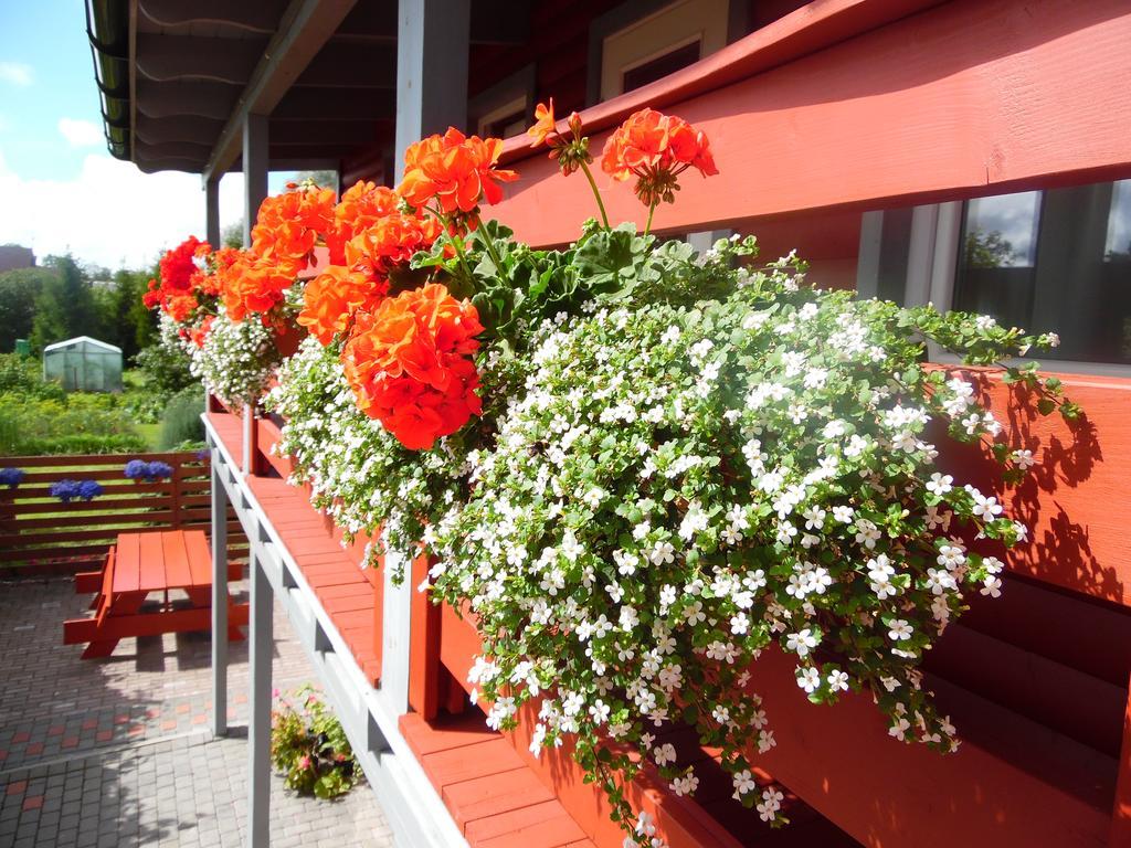 Zalie Abolisi Ventspils Exterior photo
